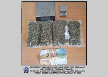 Σύλληψη για ναρκωτικά στη Θεσσαλονίκη από αστυνομικούς των Τρικάλων – Κατασχέθηκαν 284g κάνναβης, ζυγαριές και μετρητά