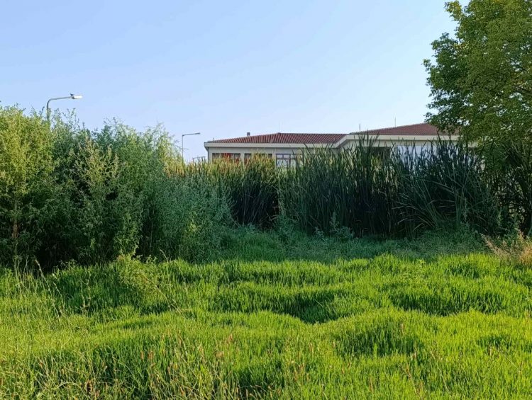 Εδώ και 3 χρόνια εκατοντάδες κυβικά πόσιμου νερού χάνονται στο Αθλητικό Κέντρο Πυργετού- Έλος δίπλα στα γήπεδα του τέννις