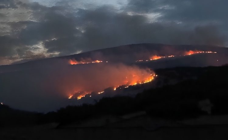 Μάχη με την πύρινη λαίλαπα όλη νύχτα για τους πυροσβέστες – Εξακολουθούν να επιχειρούν αυξημένες δυνάμεις από αέρος και εδάφους στη φωτιά που πέρασε και τα όρια του νομού Τρικάλων (ΕΙΚΟΝΕΣ)