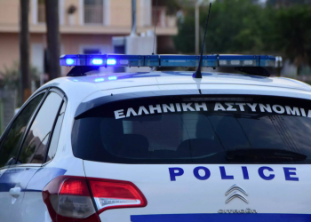 Κλότσησε γάτο και τον σκότωσε – Στον εισαγγελέα ο 78χρονος, ενώ του επιβλήθηκε πρόστιμο πολλών χιλιάδων ευρώ