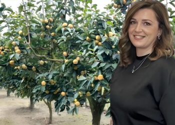 Αυτό είναι το χωριό των Λωτοφάγων της Θεσσαλίας: Η αγρότισσα με τους μηλολωτούς και η πρωτότυπη καλλιέργεια