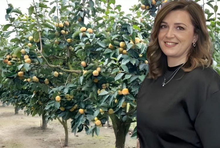 Αυτό είναι το χωριό των Λωτοφάγων της Θεσσαλίας: Η αγρότισσα με τους μηλολωτούς και η πρωτότυπη καλλιέργεια