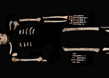 Σκελετός της Εποχής των Παγετώνων με σπασμένο λαιμό αποκαλύπτει προϊστορικό μυστήριο