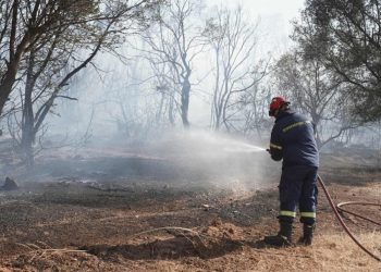 Δύο εστίες φωτιάς μαίνονται τώρα στην Πάργα – Μεγάλη κινητοποίηση της Πυροσβεστικής