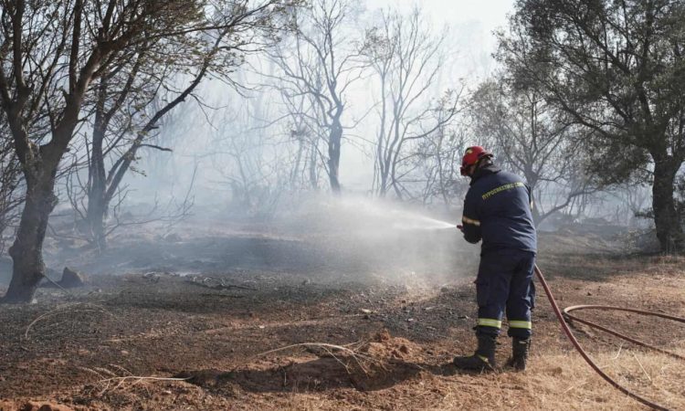 Δύο εστίες φωτιάς μαίνονται τώρα στην Πάργα – Μεγάλη κινητοποίηση της Πυροσβεστικής