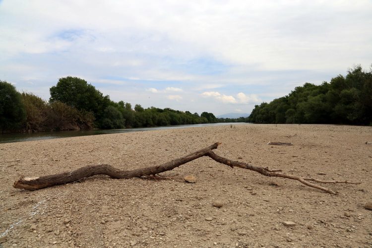SOS: Στερεύει ο Πηνειός – Έντονα σημάδια ξηρασίας κατά μήκος της διαδρομής του στους νομούς Λάρισας και Τρικάλων – Δραματικές ΕΙΚΟΝΕΣ