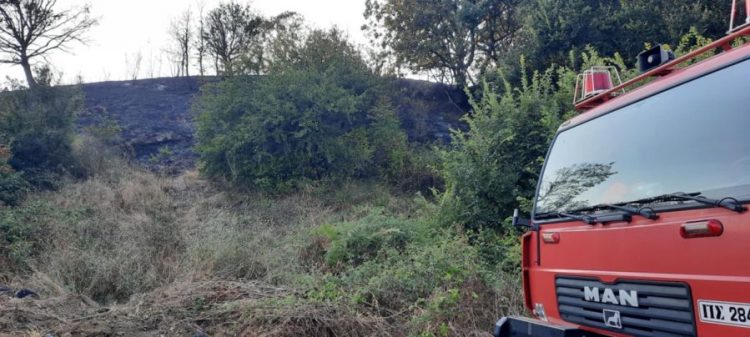 Τετρακόσια στρέμματα το «κόστος» της πυρκαγιάς μεταξύ Ρούσσου-Κρύας Βρύσης