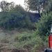 Τετρακόσια στρέμματα το «κόστος» της πυρκαγιάς μεταξύ Ρούσσου-Κρύας Βρύσης