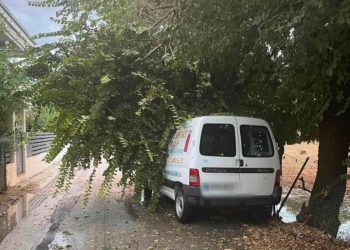 Κακοκαιρία στα Τρίκαλα: Eπαγγελματικό όχημα καταπλακώθηκε από δέντρο