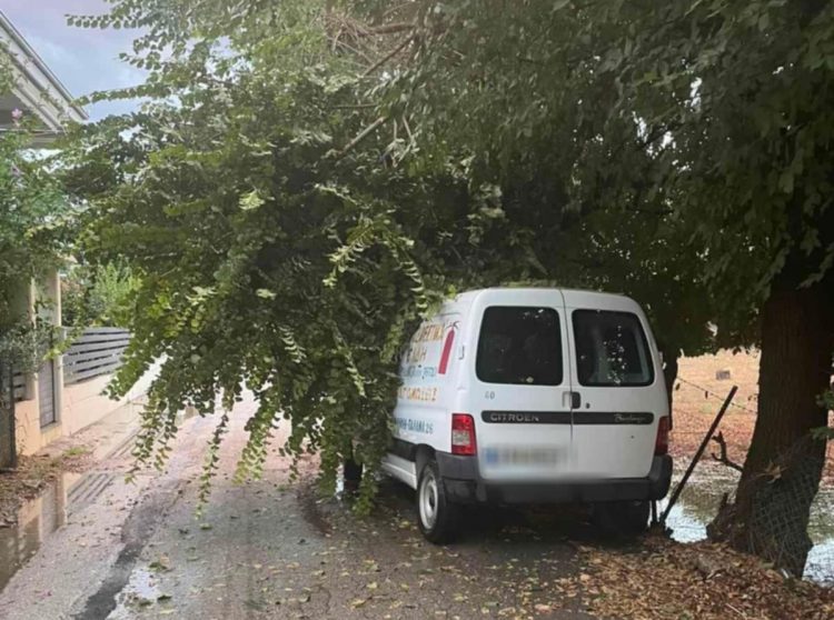 Κακοκαιρία στα Τρίκαλα: Eπαγγελματικό όχημα καταπλακώθηκε από δέντρο