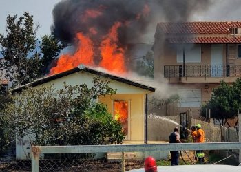 Κατεπείγουσα έρευνα για εμπρησμούς σε Ήπειρο – Παρέμβαση του Εισαγγελέα Εφετών Ιωαννίνων