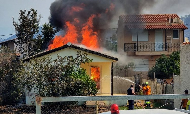 Κατεπείγουσα έρευνα για εμπρησμούς σε Ήπειρο – Παρέμβαση του Εισαγγελέα Εφετών Ιωαννίνων