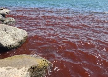 Ισραήλ: Κοκκίνισαν τα νερά της Θάλασσας της Γαλιλαίας – Δείτε βίντεο
