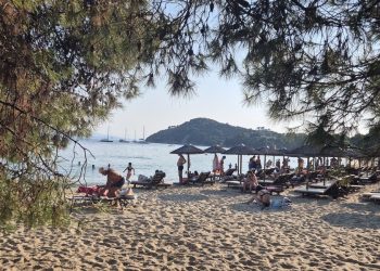 Κουκουναριές – Εκεί που τα πεύκα αγγίζουν το κύμα