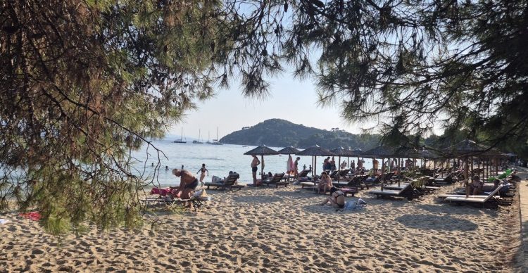 Κουκουναριές – Εκεί που τα πεύκα αγγίζουν το κύμα