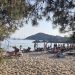 Κουκουναριές – Εκεί που τα πεύκα αγγίζουν το κύμα
