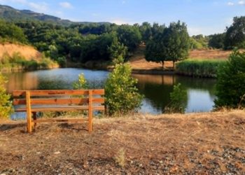 «Μετέωρα Τέχνης 2025»: Μουσική βραδιά στη Λίμνη Σκεπαρίου από τον Δήμο Μετεώρων