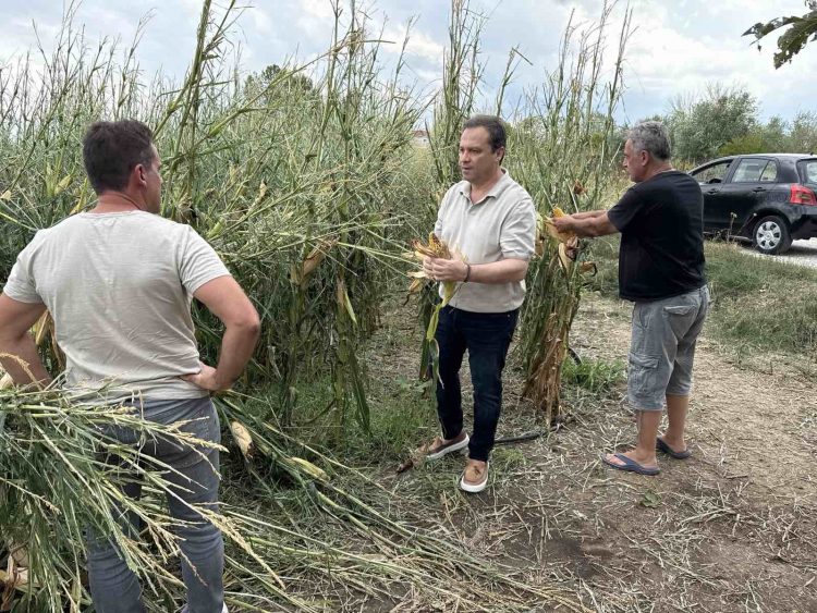 Αυτοψία του Θανάση Λιούτα στις πληγείσες από τη χαλαζόπτωση περιοχές του Δήμου Τρικκαίων
