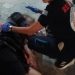 Τα «τσούγκρισαν» στη Γιορτή Κρασιού Νέας Αγχιάλου – Πολλά τα περιστατικά μέθης (ΕΙΚΟΝΕΣ)