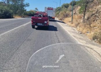 Τύχη “βουνό” για ηλικιωμένη οδηγό – Έπεσε με το αυτοκίνητό της σε ρέμα