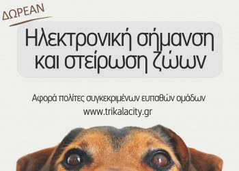 Δεύτερη φάση δωρεάν τσιπαρίσματος και στείρωσης δεσποζόμενων ζών από τον Δ. Τρικκαίων – Ποιες κατηγορίες πολιτών αφορά