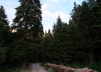 Πρόληψη και προστασία του φυσικού περιβάλλοντος από τους επαγγελματίες και το Δήμο Πύλης 