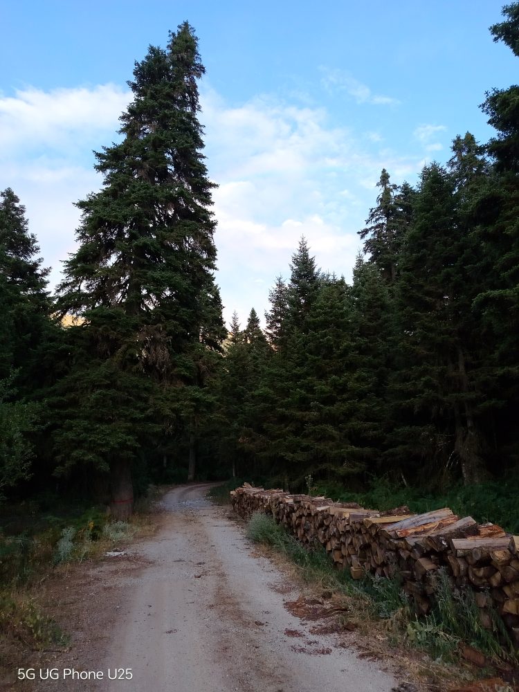 Πρόληψη και προστασία του φυσικού περιβάλλοντος από τους επαγγελματίες και το Δήμο Πύλης 