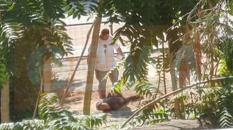 Η στιγμή της σύλληψης του δολοφόνου στο οικόπεδο του Βόλου – “Καλά της έκανα!”, είπε (ΕΙΚΟΝΑ)
