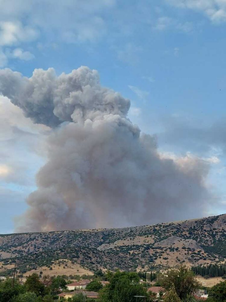 Μεγάλη πυρκαγιά στα ορεινά του Τυρνάβου απειλεί να περάσει σε περιοχές του Δήμου Φαρκαδόνας