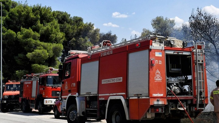 Δασική πυρκαγιά στο Νεοχώρι Καρδίτσας – Επέμβαση επίγειων και εναερίων μέσων (ΕΙΚΟΝΕΣ – ΒΙΝΤΕΟ)
