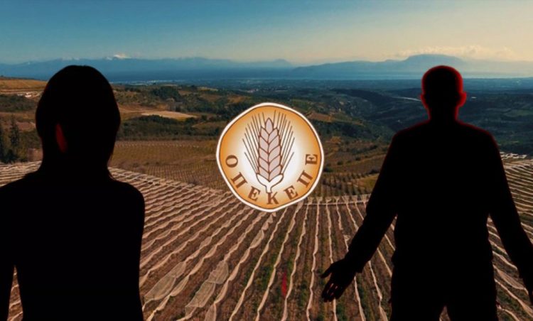 ΟΠΕΚΕΠΕ: Ζευγάρι από τη Θεσσαλία στο στόχαστρο της Ευρωπαϊκής Εισαγγελίας για μαζική απάτη