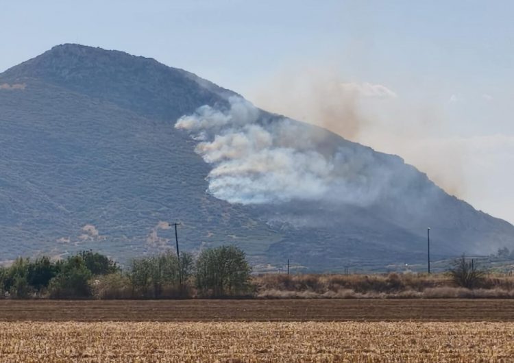Εναέρια μέσα και πυροσβεστική επιχειρούν στο όρος Σούρλα δίπλα από τα Φάρσαλα (ΒΙΝΤΕΟ)