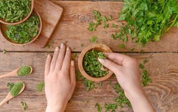 Το αρχαιοελληνικό βότανο του θρήνου που μπορεί να προστατεύσει από τη φλεγμονή και έχει αντιοξειδωτική δράση