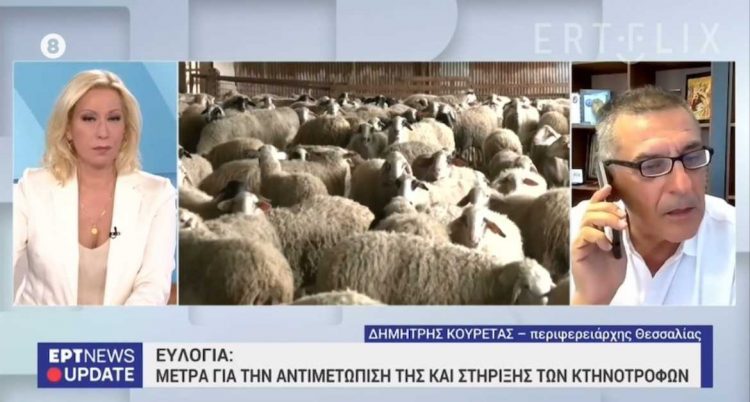 Μείωση των θετικών δειγμάτων ευλογιάς στην Θεσσαλία σε ποσοστό 80% με το μοριακό έλεγχο στο σάλιο