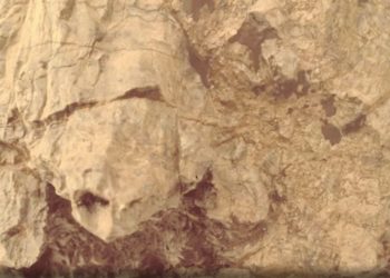 Μια «χελώνα» στον Άρη – Η φωτογραφία από το ρόβερ της NASA γοήτευσε το διαδίκτυο