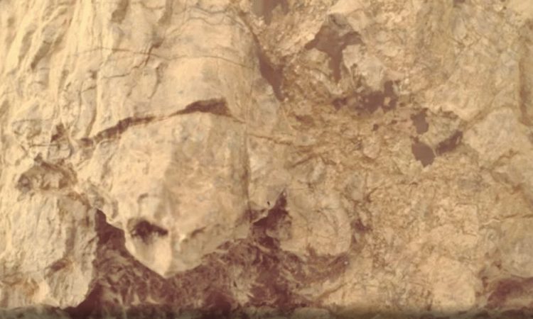 Μια «χελώνα» στον Άρη – Η φωτογραφία από το ρόβερ της NASA γοήτευσε το διαδίκτυο
