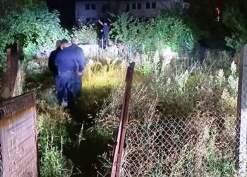 Απίστευτο!!! Αρκούδα εμφανίστηκε στην οδό Μαβίλης…
