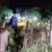 Απίστευτο!!! Αρκούδα εμφανίστηκε στην οδό Μαβίλης…