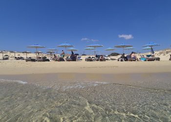 Αμμόλοφοι που μαγεύουν στην πιο ιδιαίτερη παραλία της Νάξου