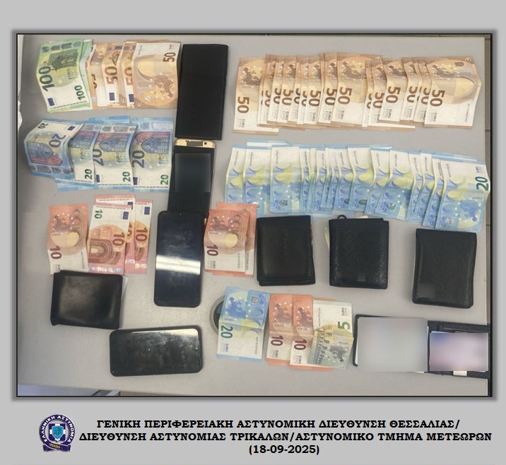 Στα χέρια της Αστυνομίας 4 αλλοδαποί για κλοπή πορτοφολιού σε περιοχή του Δήμου Μετεώρων