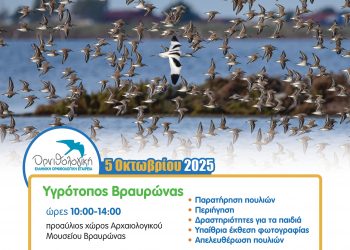 Μια γιορτή για φτερωτά ταξίδια χωρίς σύνορα! 