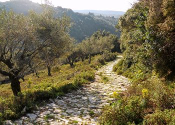Καλά στην υγεία τους εντοπίστηκαν οι Βέλγοι που χάθηκαν σε μονοπάτι του Πηλίου