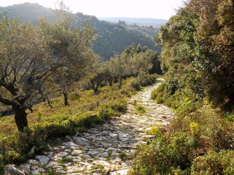 Καλά στην υγεία τους εντοπίστηκαν οι Βέλγοι που χάθηκαν σε μονοπάτι του Πηλίου