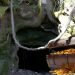 Το θεσσαλικό χωριό που το πολιορκούν: “Υπάρχουν άνθρωποι που βρήκαν λίρες” – Γιατί επικρατεί φρενίτιδα τα τελευταία χρόνια
