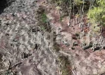 Θεσσαλία: Δείτε πως, για πρώτη φορά στην Ελλάδα, καταστράφηκε γιγάντια χασισοφυτεία επί τόπου! Δεν μπορούσε ούτε ελικόπτερο να προσεγγίσει (ΒΙΝΤΕΟ)