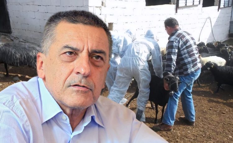 Κουρέτας σε Υπουργείο Αγροτικής Ανάπτυξης: Αλλάξετε στρατηγική για την ευλογιά τώρα – Διαθέσιμο το εμβόλιο KEMIN (ΒΙΝΤΕΟ)