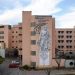 Συνοδός ασθενή επιτέθηκε σε νοσηλευτή στο Πανεπιστημιακό Νοσοκομείο – Τι καταγγέλλουν οι εργαζόμενοι