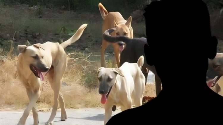 Τραυματική εμπειρία: Περικυκλώθηκε από σκυλιά και τον έσωσε η αστυνομία – Η συνοδεία και το «ευχαριστώ»