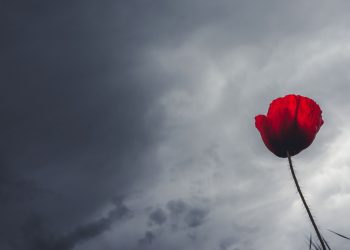 Καιρός: «Άντε να δούμε πότε θα ξαναβρέξει» – Η πρόβλεψη Ζιακόπουλου