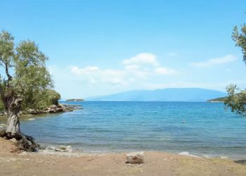Από την τυρόπιτα στην ενέδρα μίσους
